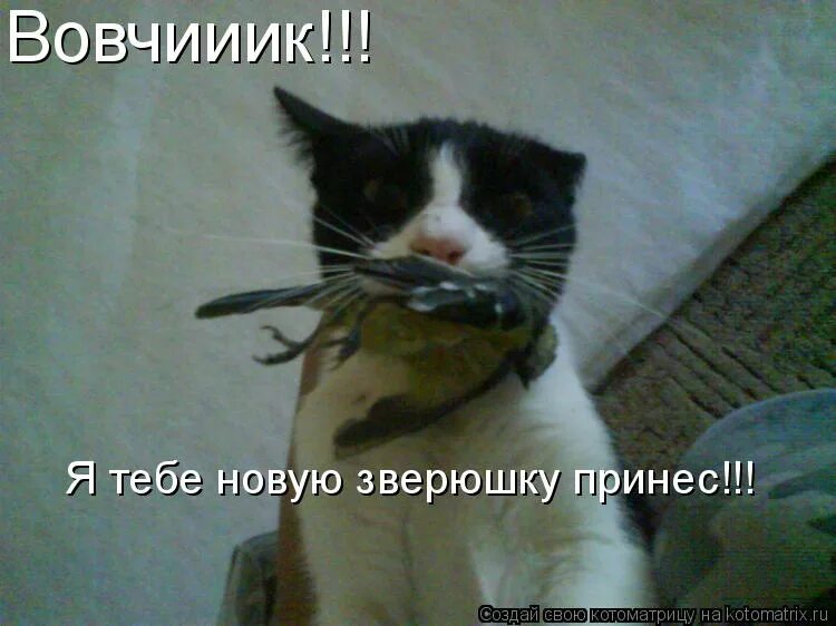 хочу удавиться картинка. я хотел повеситься когда исполнилось 10. я хотел повеситься когда исполнилось 10. фейс лабиринт обложка. шутки про продажи.