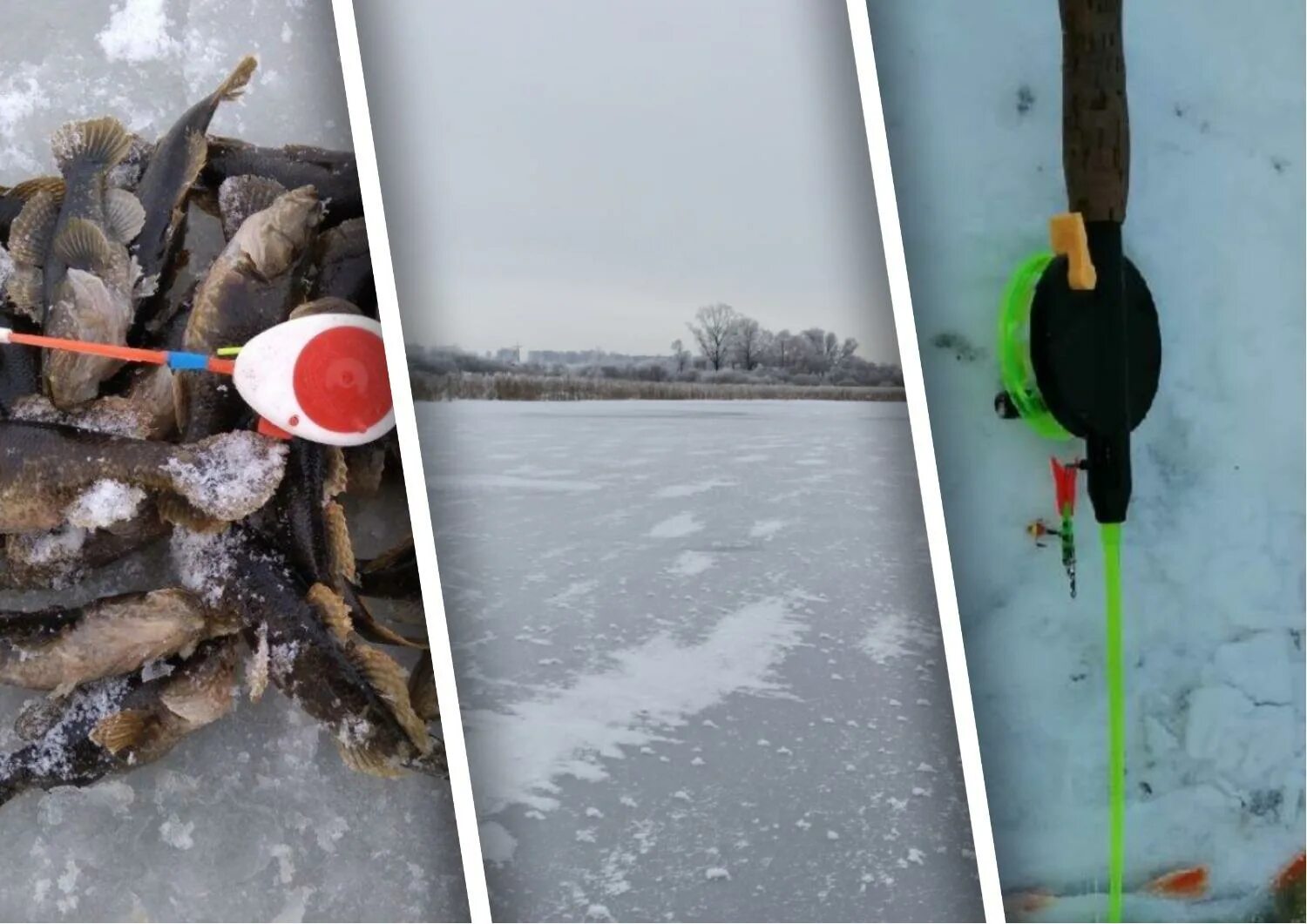 Зимняя рыбалка в Новосибирске. Рыбалка зимой на открытой воде. Зимняя рыбалка в Новосибирске сейчас. Рыбалка в декабре на открытой воде.