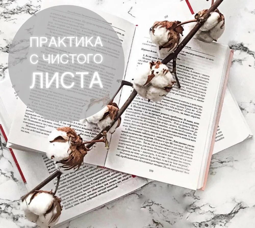 Дом с чистого листа. Новый год с чистого листа. новый год новая жизнь с чистого листа. новый год с чистого листа картинки. с новым годом чистый лист.