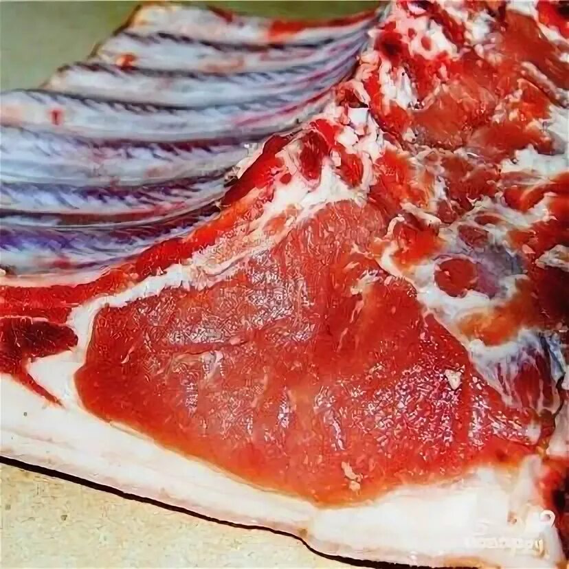 Каталог Свинина на кости (Туши,полутуши,отруб,разруб) охл.