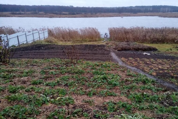 Погода в село питерское. Село питерское Моршанск. Село питерское Моршанского района. Село питерское Моршанского района Тамбовской области. С Ивенье Моршанский р-н.