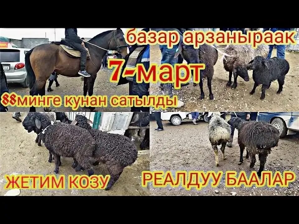 Время намаза в москве. Базар коргон намаз убактысы. Расписание намаза. Багымдат намаз убактысы. Рамадан бишкек.