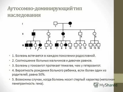 Доминирующий тип