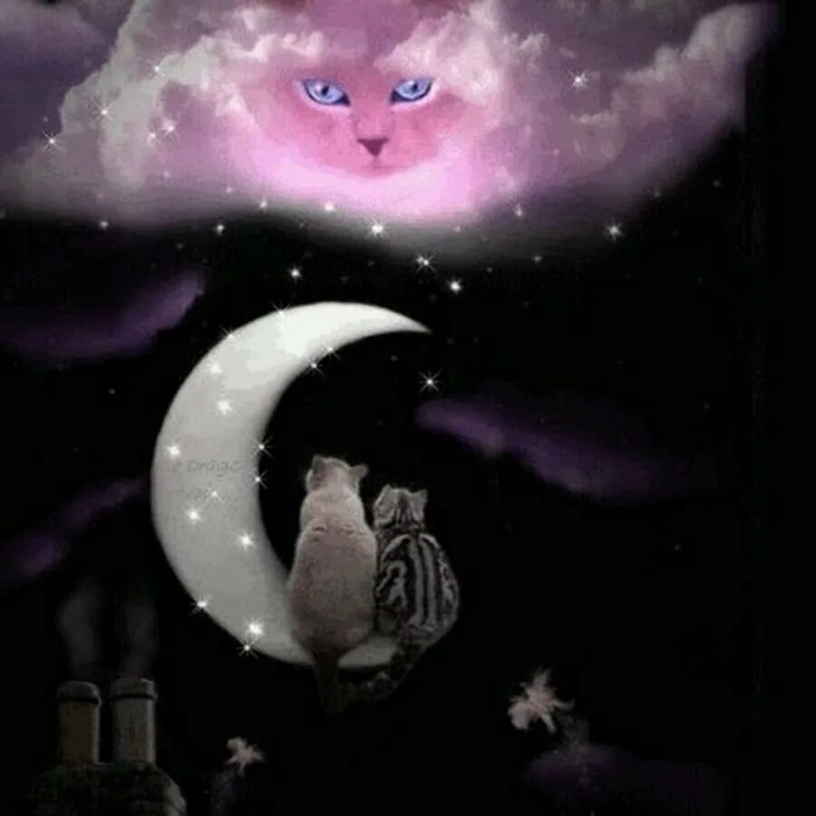 "Лунный кот". Сказочный сон. Доброй ночи котик. Котенок. Спокойной ночи!. Киса ночью