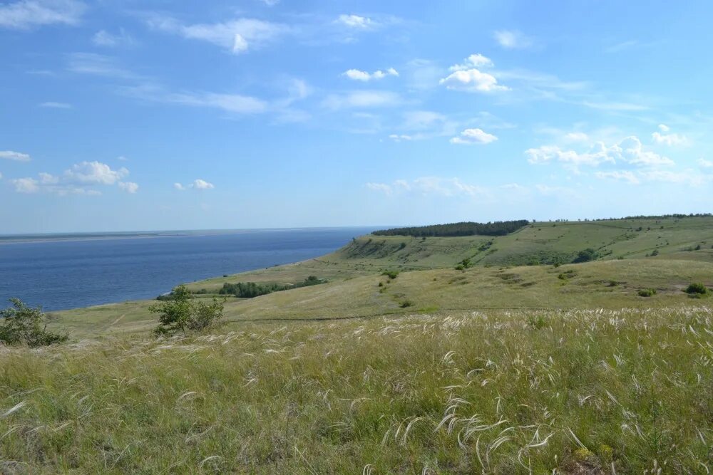 Щербаковка. Щербаковка