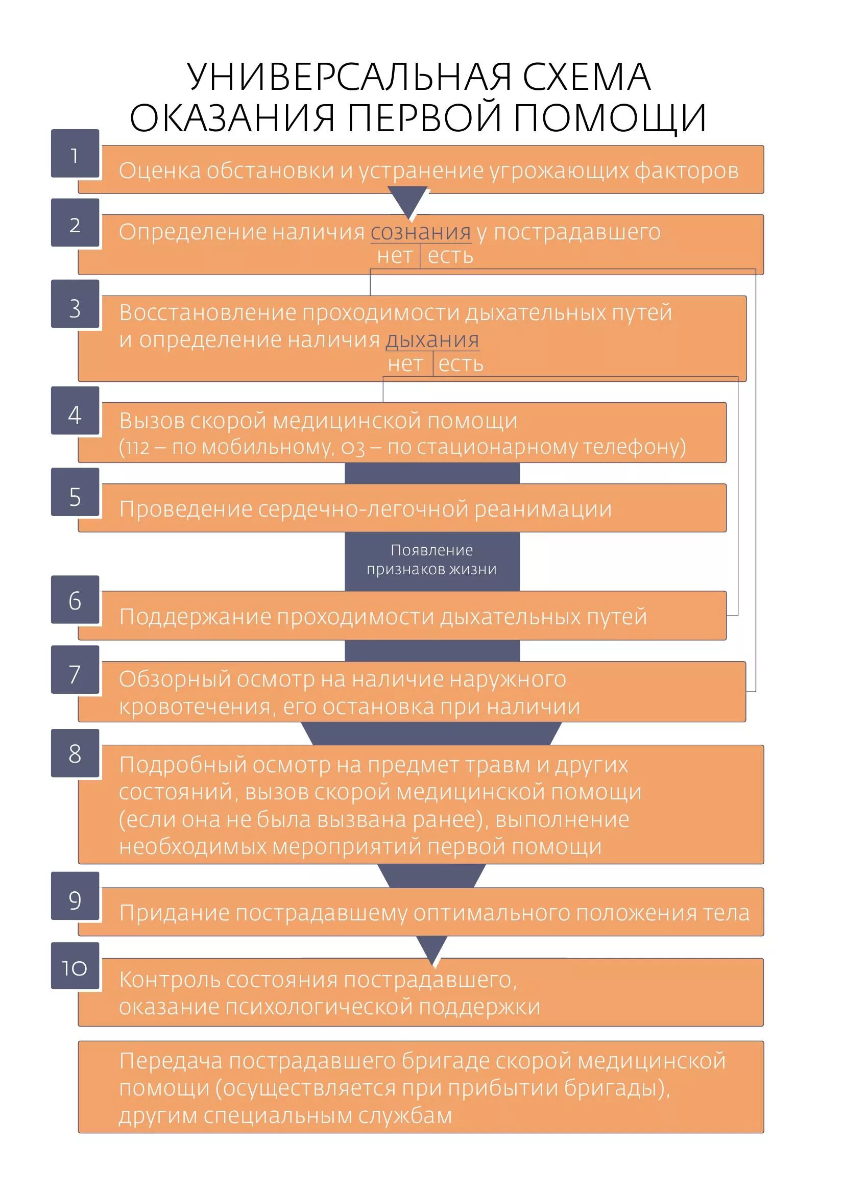 Универсальный алгоритм оказания помощи. Алгоритм оказания первой медицинской помощи схема. Универсальный алгоритм оказания ПМП. Универсальный алгоритм оказания первой помощи схема. Универсальная схема оказания первой.