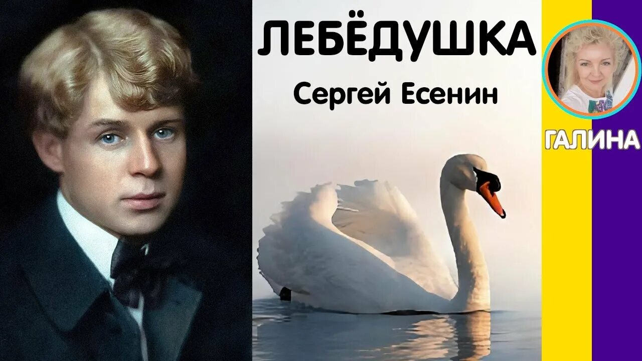 Стих есенина лебедушка 4. Стихотворение Лебедушка Есенин. Лебёдушка Есенин 4 класс.