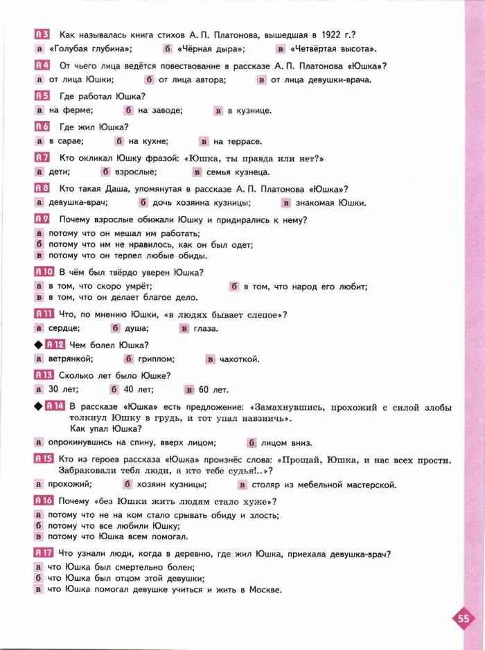 Презентация юшка платонов. Юшка вопросы к рассказу. Платонов юшка проблематика. Юшка тест. Тест по рассказу юшка ответы.