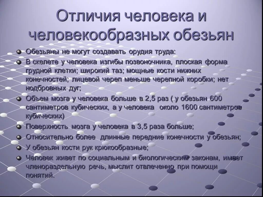 Что отличает от обезьян. Отличия человека и человекообразных обезьян. Jnkbxbt xtkjdtrf JN xtkjdtrjj,hfpys[ j,tpmzy. Различия человека от человекообразных обезьян. Отличие человека от человекообразных.