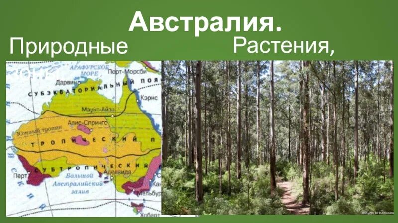 Природные зоны Австралии. Карта природных зон Австралии. Природные зоны Австралии 7 класс. Карта природных зон Австралии 7 класс.