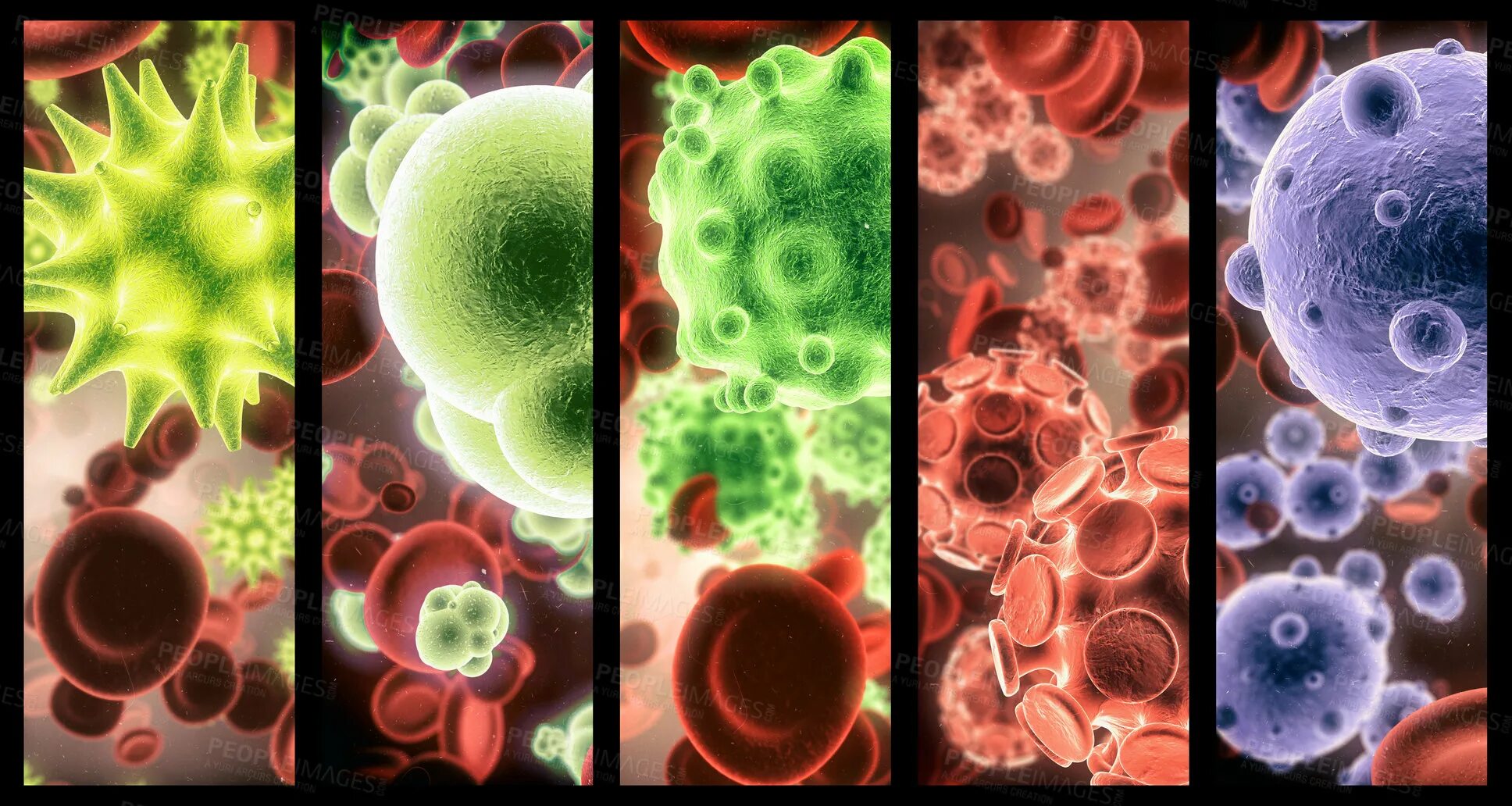 Живые неживые клетки. Blasted pancreas - pathogenic Organisms in Blood. "Mikroorganizmlarning ". Mikroblarning antibiotiklarga bardoshliligi.