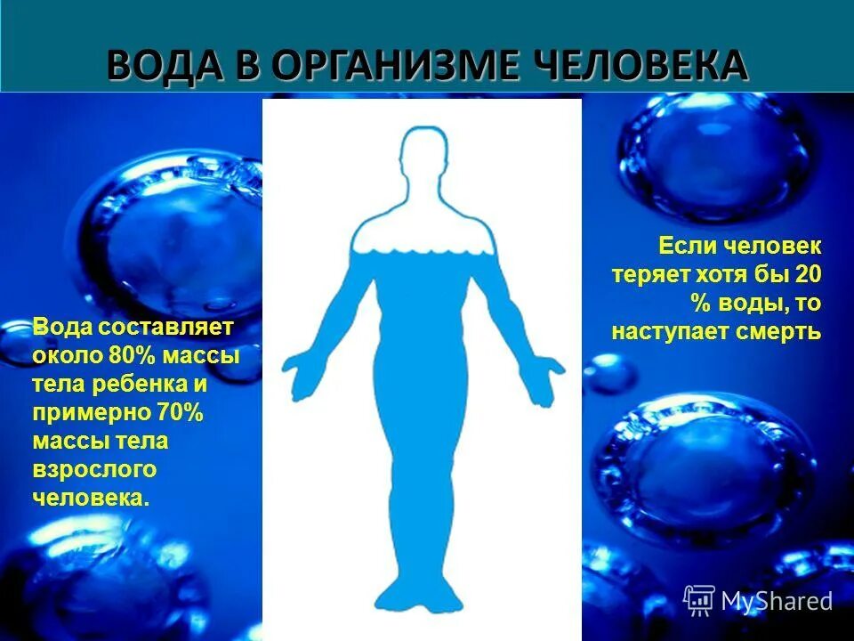 тело человека состоит из воды. сколько кг воды в человеке. вычислить массу воды. организм взрослого человека. сколько воды в теле человека.