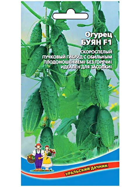 Буян огурец фото - DelaDom.ru
