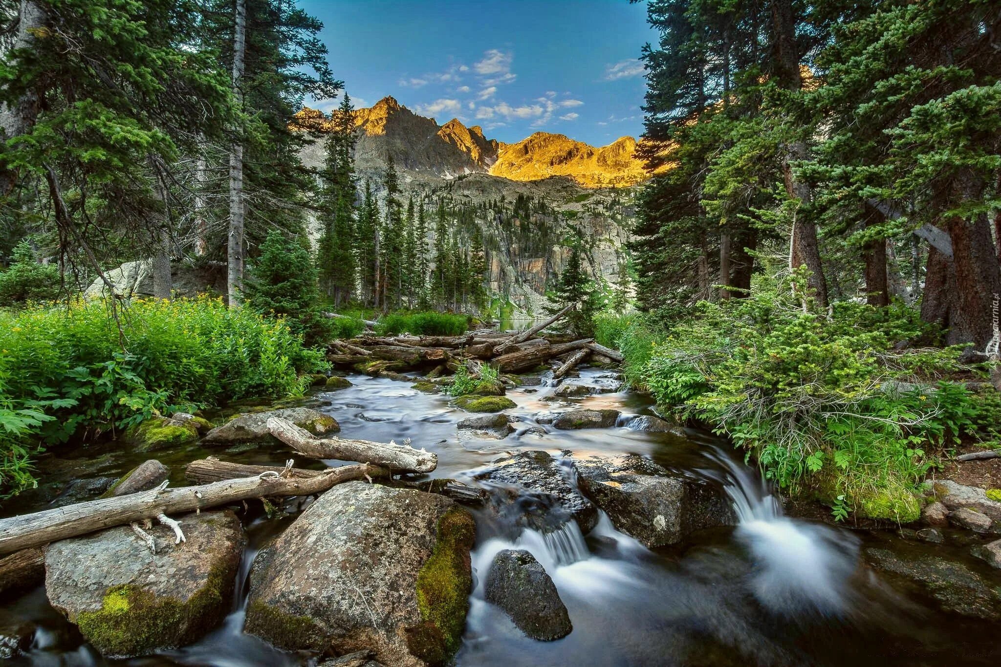 Шварцвальд ручей. Водопад мосбрей, сша. Ручейки озера. Водопад сноквалми. Ручейки озера.