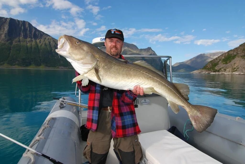 рыбалка на сейшелах. Fish travel. Fish travel. логотип для рыболовного канала. воблер для рыбалки на тайменя.