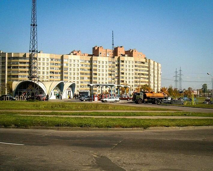 Веснянка город. Веснянка минск. Веснянка город. Имаго веснянки. Имаго веснянки.