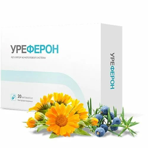 Урефрон от чего помогает таблетки. Уреферон. уреферон таблетки. урологические лекарства для мужчин. уреферон от цистита.