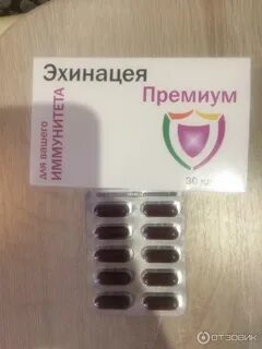 Эхинацея капсулы