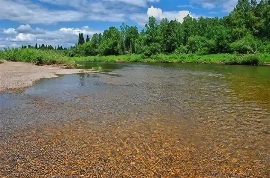 Брошу в речку камушек.