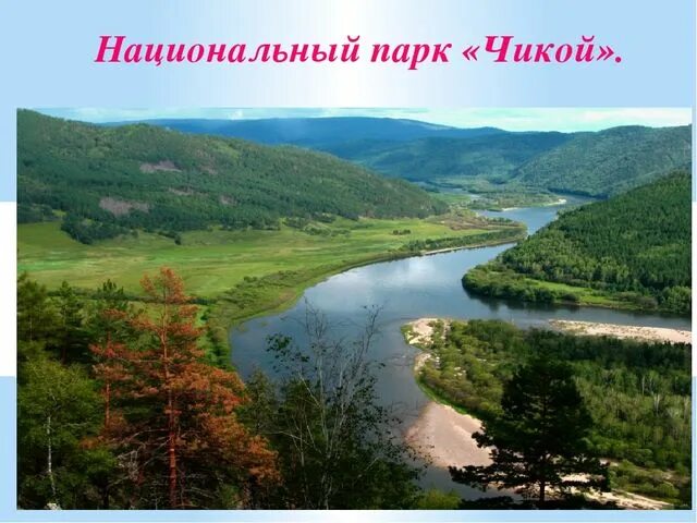 Забайкальский национальный парк парк. Сохондинский заповедник забайкальского края фото. Забайкальский национальный парк парк. Забалькайский национальный парк. Сохондинский заповедник забайкальского края животные.