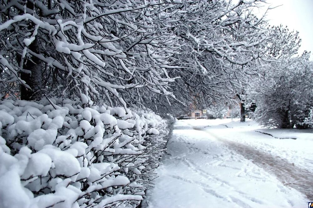 Занесло снегом. Границы предложения 2 класс. Выпавший снег замел узкую дорожку ведущую. Выпавший снег замел узкую дорожку. Выпавший снег замел узкую дорожку ведущую.