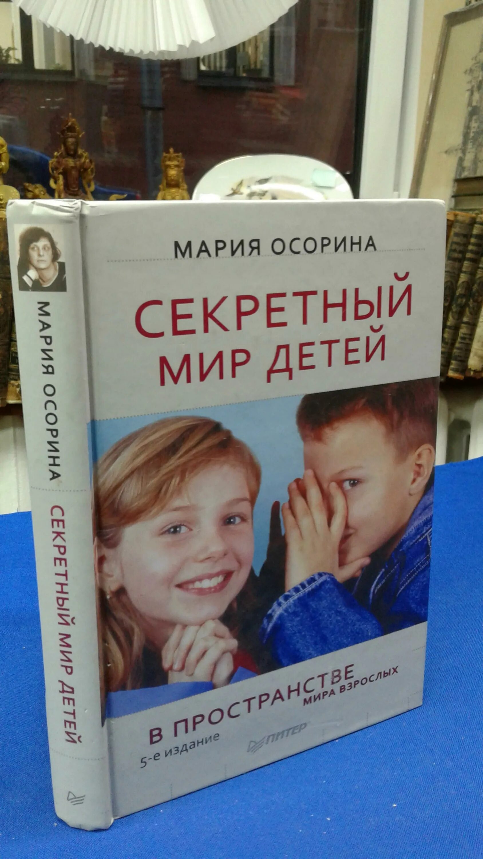 Мир детей в мире взрослых осорина. Мария осорина секретный мир детей в пространстве мира взрослых. Секретный мир детей м. Мир детей в мире взрослых осорина. Осорина.