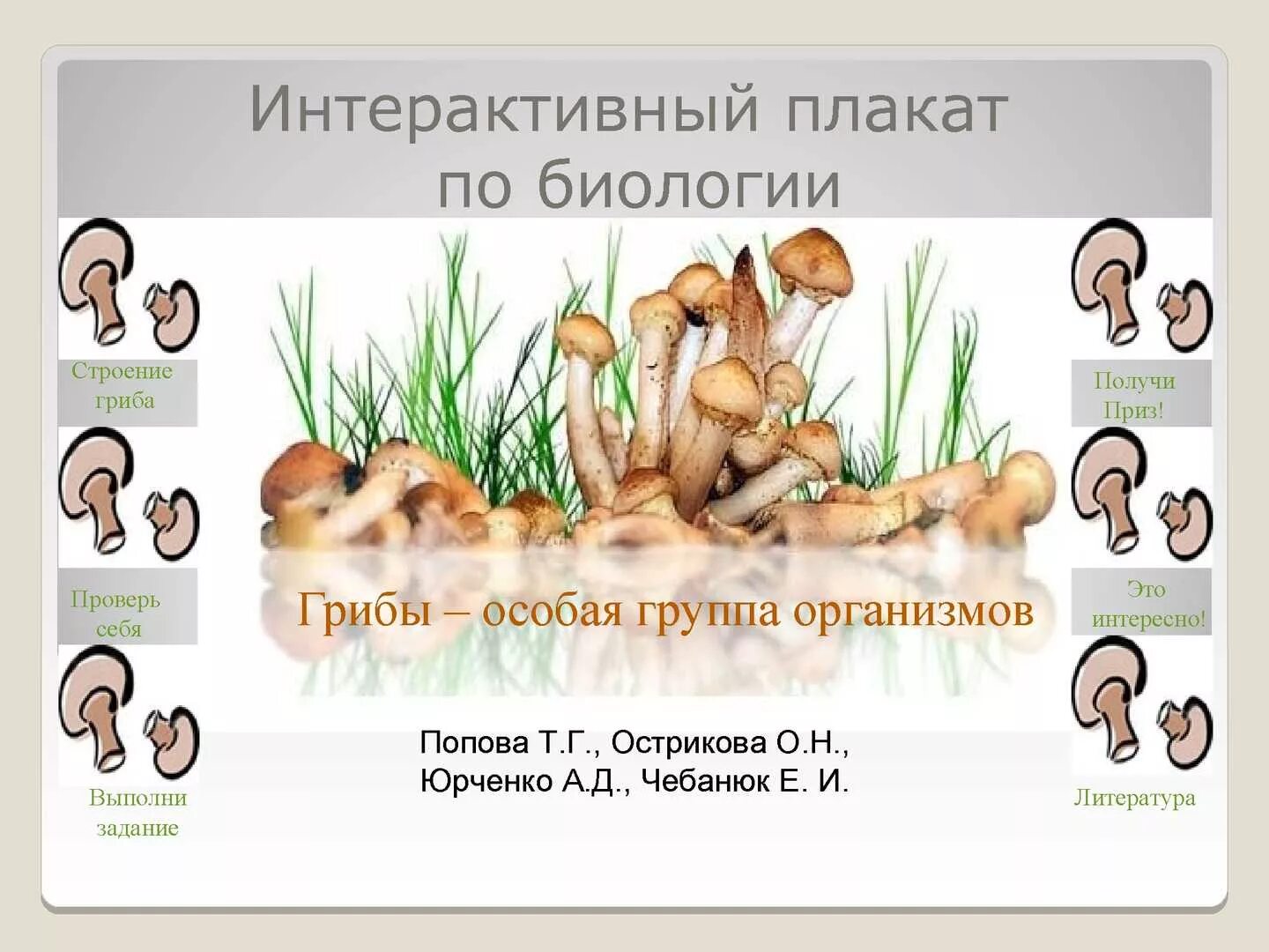 Контрольная по теме грибы 7 класс. Плакат по биологии грибы. интерактивный плакат грибы. интерактивный плакат по биологии. группа организмов грибы.