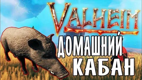 Как приручить кабана