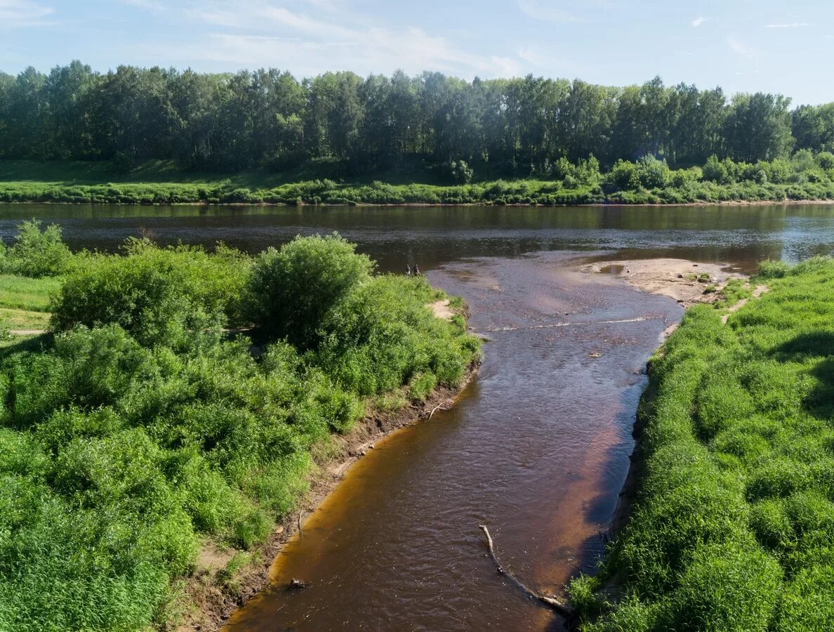Река зап Двина. Река Западная Двина в Смоленской области. Зап.Двина река Полоцк. Река Западная Двина Беларусь.
