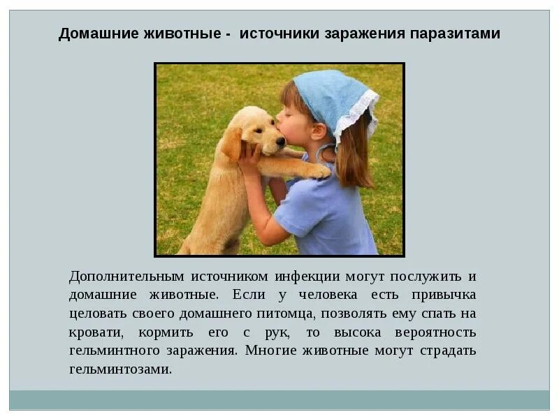 Сообщение на тему человек и животное. Влияние животных на организм человека. паразиты человека и животных. влияние домашних животных на здоровье человека. влияние животных на человека темы.