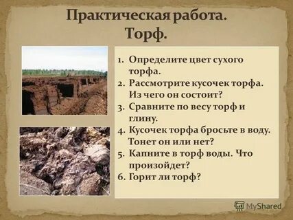 К какому виду относится торф