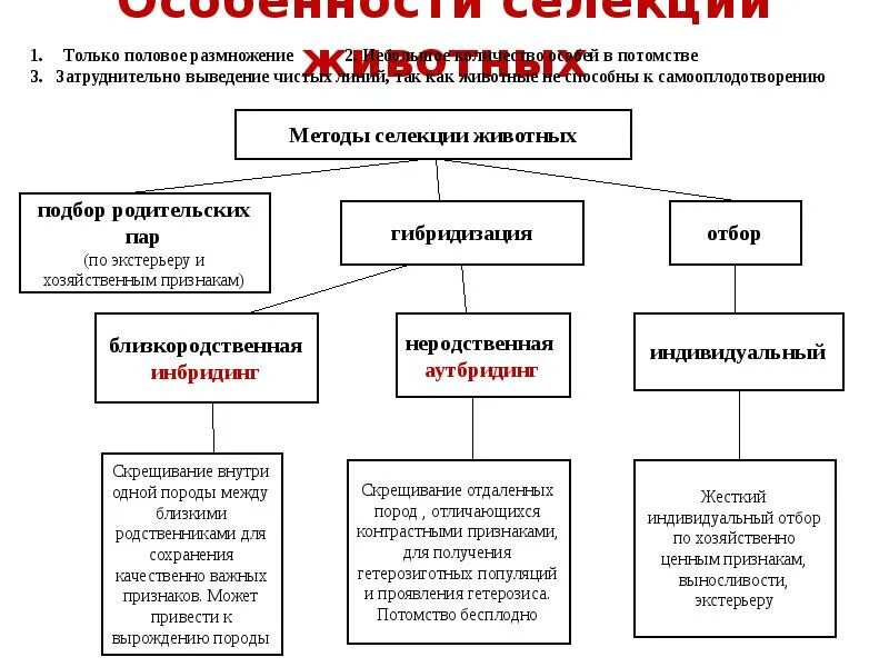 Таблица 9 класс методы селекции и примеры Презентация На тему:Селекция