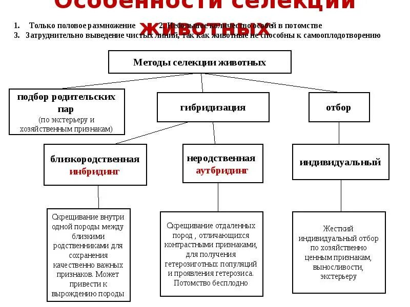 Чем селекция растений отличается от селекции животных. Методы селекции растений животных и микроорганизмов таблица. Методы селекции растений животных и микроорганизмов. Таблица методы селекции у животных у растений у бактерий. Методы селекции животных и микроорганизмов таблица.