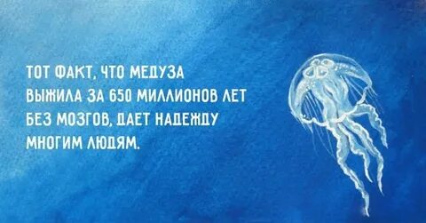 Остается фактом то что