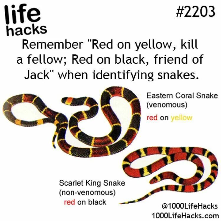 Non-defining relative clauses в английском. Miss someone. When you leave. Non defining relative clauses в английском языке. Identity protection.
