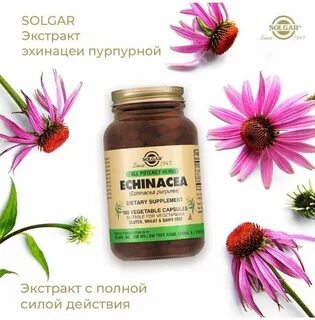 Солгар эхинацея
