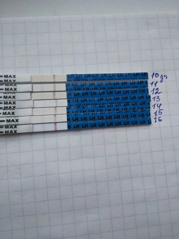 Тест на беременность при поздней овуляции
