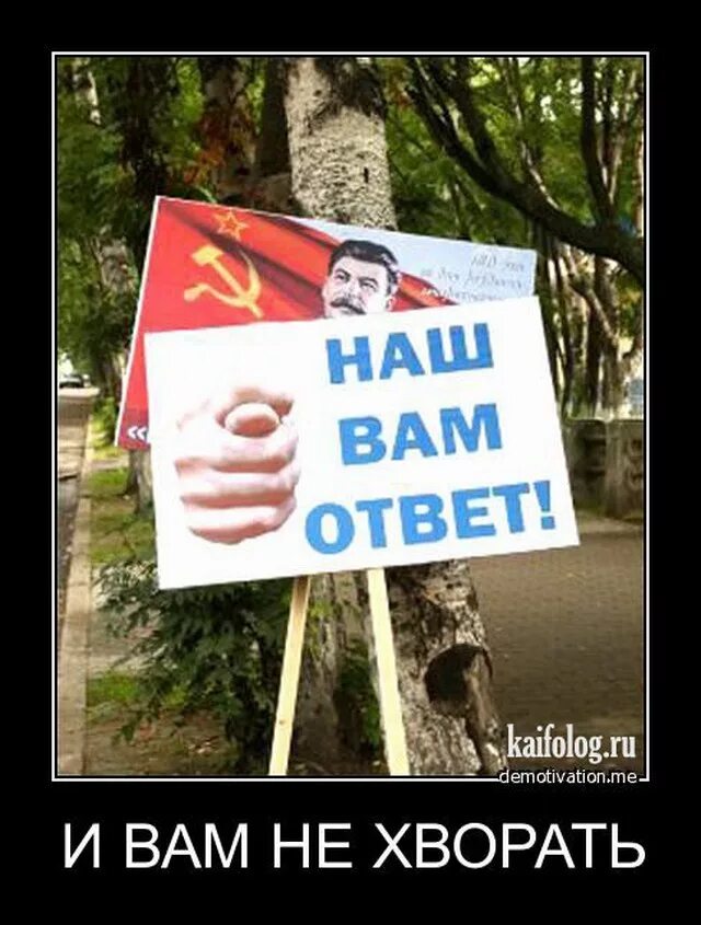 Коты демотиваторы. Открытка и вам не хворать. И вам не хворать картинки. Доброе утро и тебе не хворать. Если друг оказался вдруг.