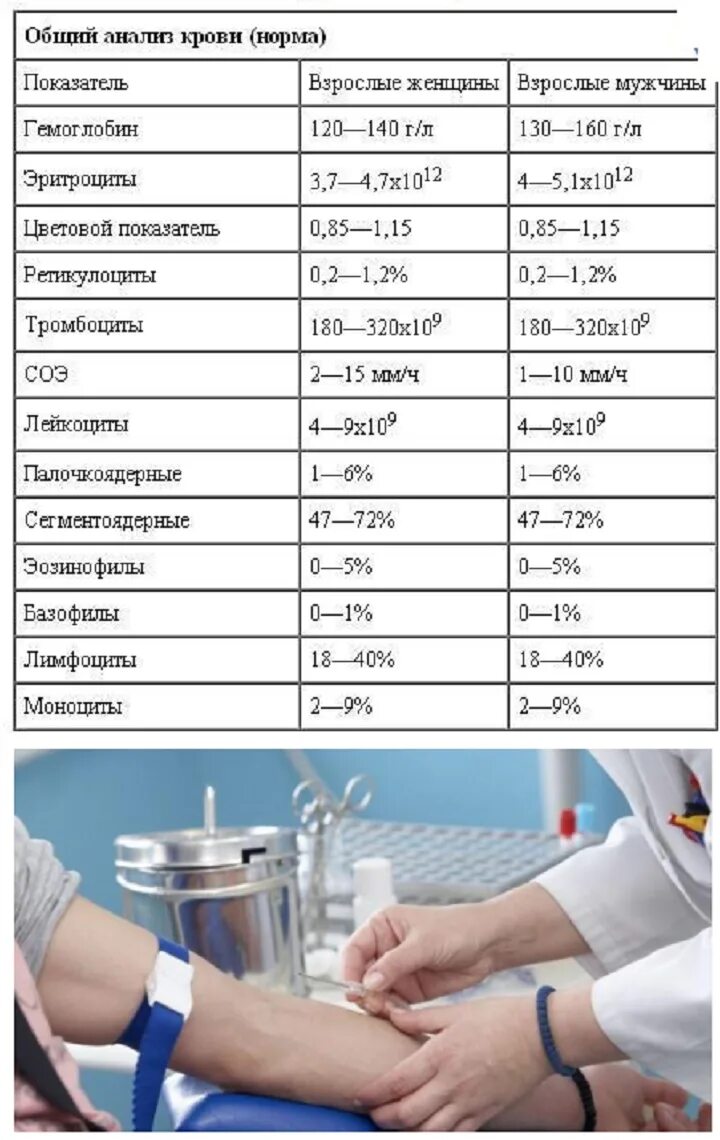 Анализв. Общий анализ крови из пальца показатели. Общий анализ крови вручную. Норма общего анализа крови из пальца. Исследование крови из пальца расшифровка.