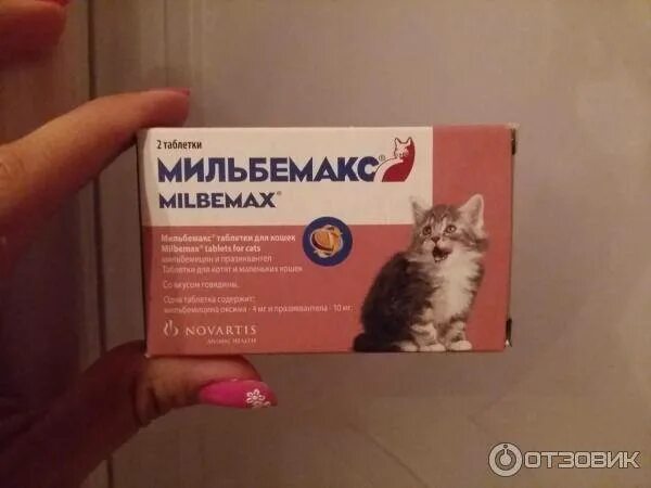 Как часто можно глистогонить. Против глистов Мильбемакс. Схема глистогонки котят. Таблетки для беременных кошек. Глистовать котенка таблетка.