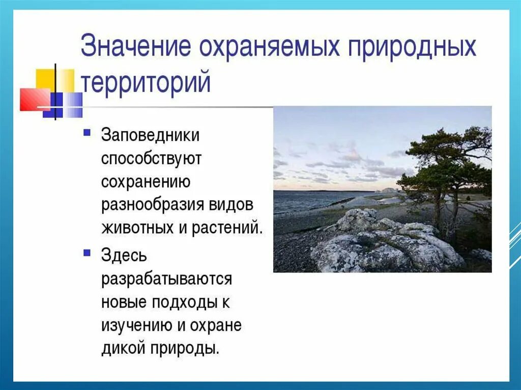 Проект по окружающему миру заповедники и национальные парки России. Заповедники и национальные парки презентация. Заповедники и национальные парки России проект для 4 класса. Проекты национальных парков и заповедников. Почему важны заповедники и национальные парки