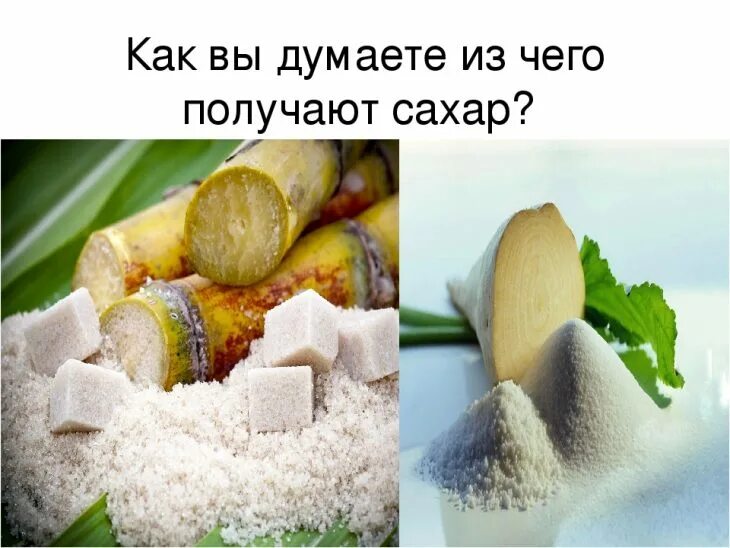 Из чего делают сахар. Как делают сахар в России. Из чего изготавливается сахар. РЗ чего делается сахар.