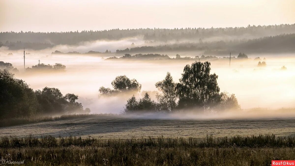 Пелена это. Фронтальный туман. Туман вблизи. Туман в долине. Можайск туман.