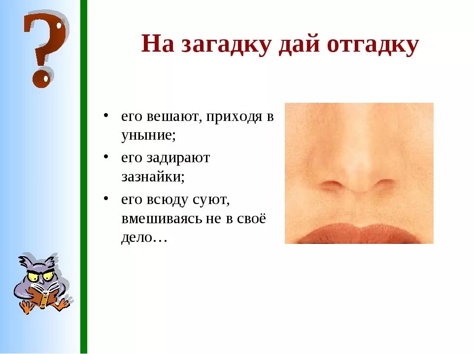 Загадка про нос. Загадка про нос для детей. Загадки на тему нос. Загадки на тему организм человека. Отгадка спереди