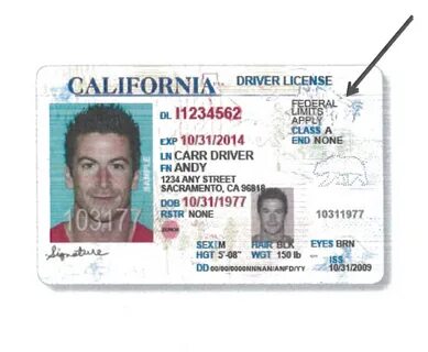 Org licenses