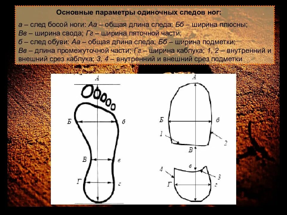 Что означает слово подметка. Части следа босой ноги криминалистика. Элементы подошвенной части обуви криминалистика. Зарисовка следа обуви криминалистика. Исследование следа обуви криминалистика.