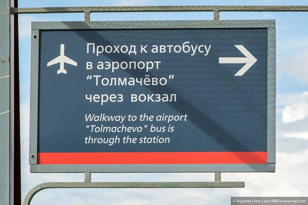 Автобус вокзал аэропорт Новосибирск. Автовокзал Толмачево Новосибирск. Автобус ЖД вокзал аэропорт. 111 Автобус аэропорт Толмачево. Автобус жд вокзал новосибирск до аэропорта