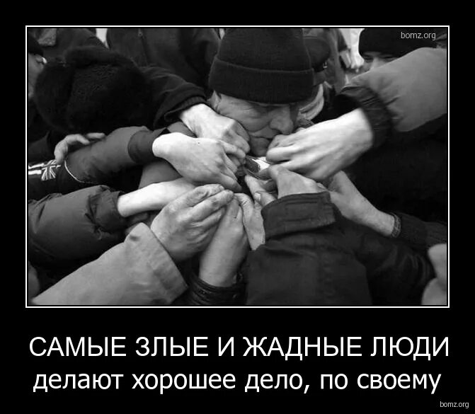 Какие люди самые злые. Люди стали жадными. Какие люди самые злые. Злой человек. Самые злые собаки.