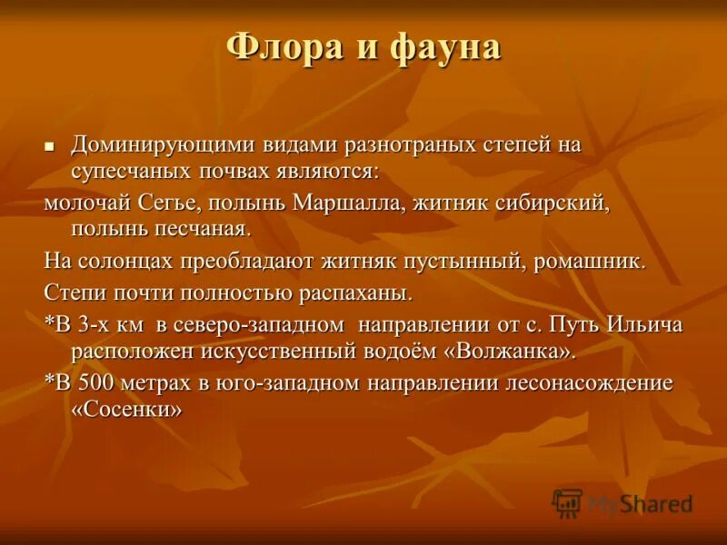 в животном мире преобладают