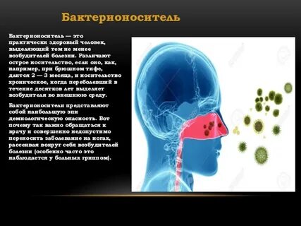 Инфекционная заболеваемость обж 7 класс